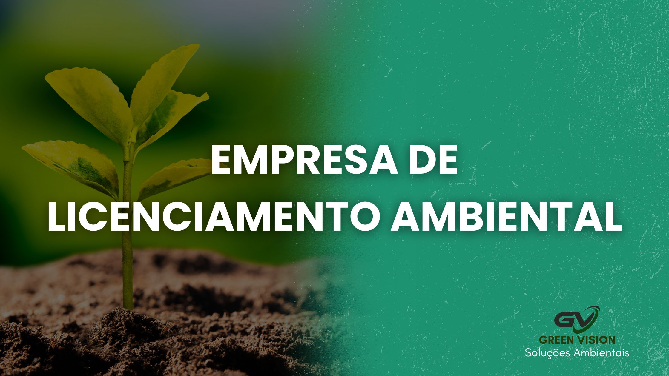 empresa-de-licenciamento-ambiental