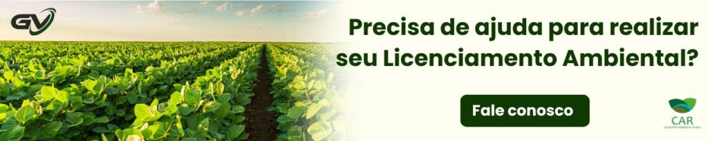 licena ambiental